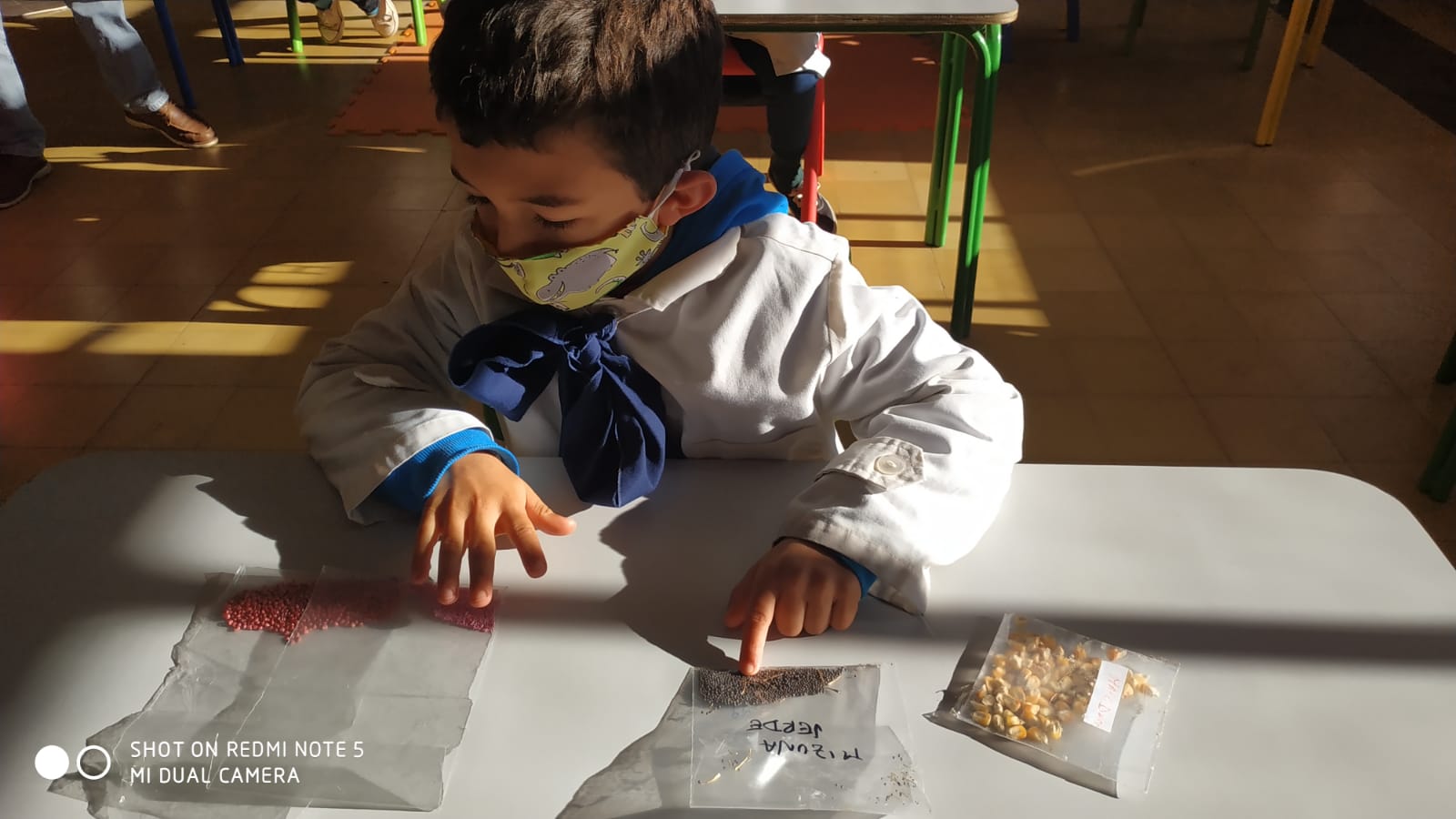 Se avanza con el trabajo en agroecología en escuelas rurales de Florida y Durazno